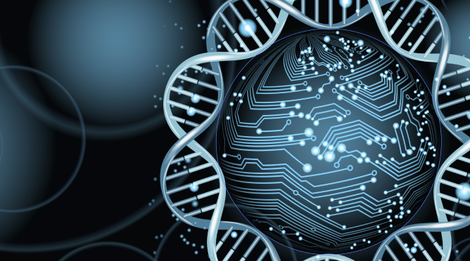 8.SINIF DNA ve Genetik Kod MEB ÇIKMIŞ SORULAR CEVAP ANAHTARLARI